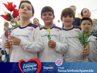 Imagem da Notícia
