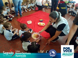 Imagem da Notícia