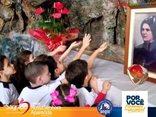 Imagem da Notícia