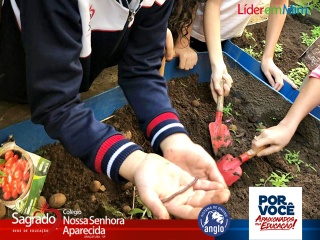 Imagem da Notícia