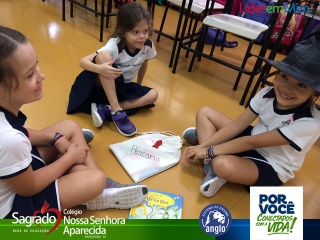 Imagem da Notícia