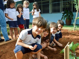 Imagem da Notícia