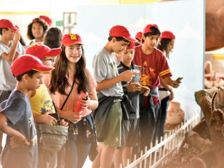 Imagem da Notícia