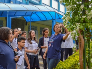 Imagem da Notícia