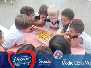 Imagem da Notícia