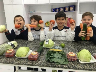 Imagem da Notícia