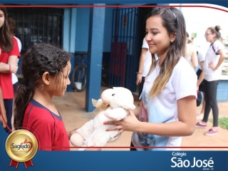 Imagem da Notícia
